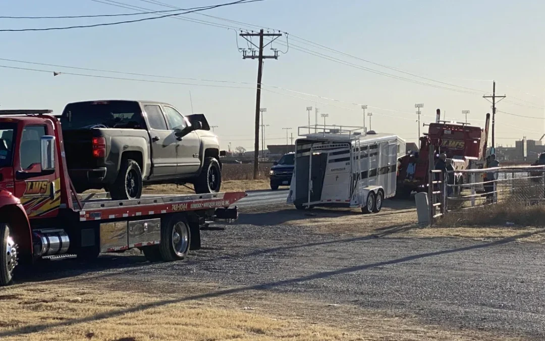 Horses, but no people injured after Woodrow Road crash 